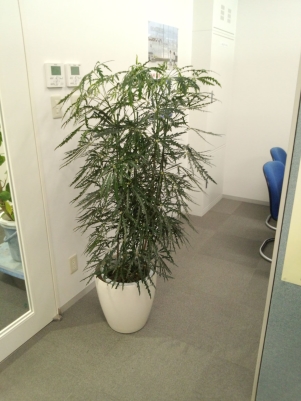 2012-06-01 10.18.57 /