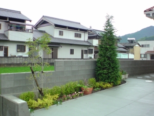 DSC00596
